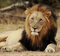 Leopard's Bend Bush Lodge