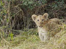 Leopard's Bend Bush Lodge