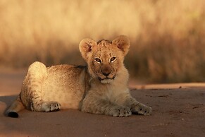 Leopard's Bend Bush Lodge