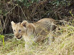 Leopard's Bend Bush Lodge