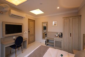 Hotel Mount view inn