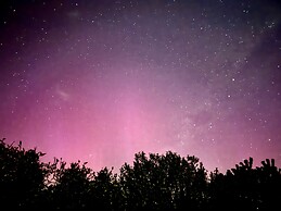 St Leonards Vineyard Cottages