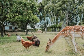 St Leonards Vineyard Cottages