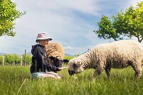 St Leonards Vineyard Cottages
