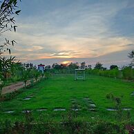 Gondwana Jungle Resort