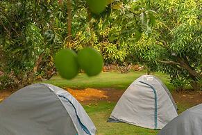 Q Mango Resort