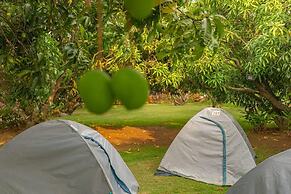 Q Mango Resort