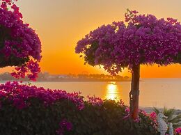 Kokomo on the Beach With Heated Swimming Pool