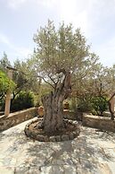 Olive House by Frangki