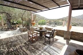 Olive House by Frangki