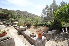 Olive House by Frangki