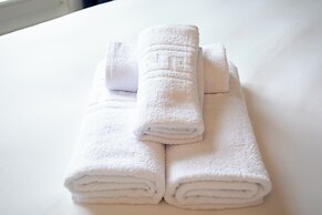 WS Notre-Dame - Linné