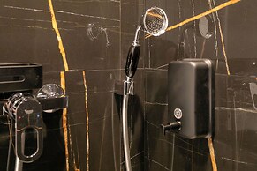 WS Notre-Dame - Linné