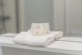 WS Louvre - Saint Honoré