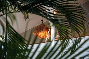 Maison Clementine