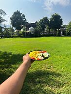 Jungle by sturmfrei Pushkar