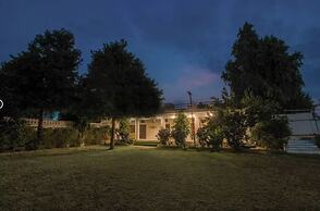 Jungle by sturmfrei Pushkar