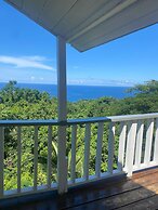 LF Jungle Retreat