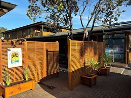 Palm Tree Lodge & Backpackers