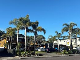 Palm Tree Lodge & Backpackers