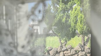 Jeju Staysosoheon Dokchae Pension