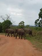 Elephant Safari Lodge