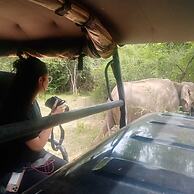 Elephant Safari Lodge
