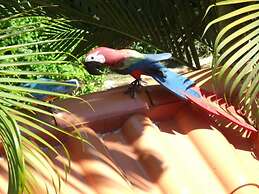 Pousada Horizonte dos Borbas