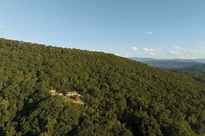 The Roxy 2 Homes in 1!