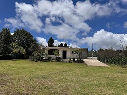 Casa rodeada de naturaleza