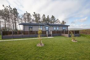 Host Stay Salt Seaweed