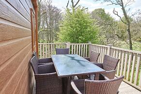 Host Stay Yolo Lodge