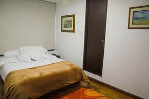 ART AND VITALITY HOUSE