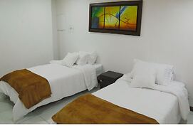 ART AND VITALITY HOUSE