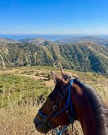 Circle Bar B Guest Ranch