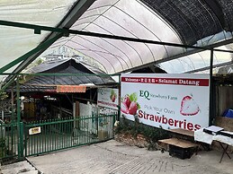 Palas Horizon Apartment