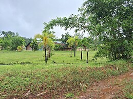 Room in Farmhouse - Dandeli Aura - Accommodation Only