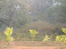 Room-dandeli Aura - Accommodation Only