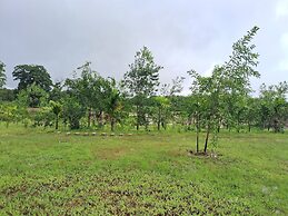 Room-dandeli Aura - Accommodation Only