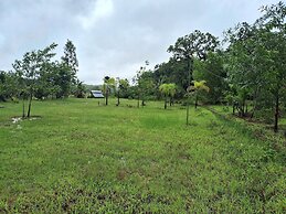 Room-dandeli Aura - Accommodation Only