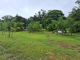 Room-dandeli Aura - Accommodation Only