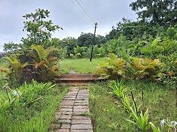 Room-dandeli Aura - Accommodation Only