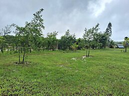 Room-dandeli Aura - Accommodation Only