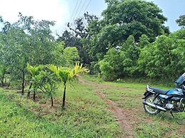 Room-dandeli Aura - Accommodation Only