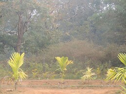 Room-dandeli Aura - Accommodation Only