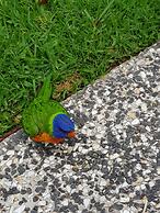 Mapleton Peaceful Provence BnB