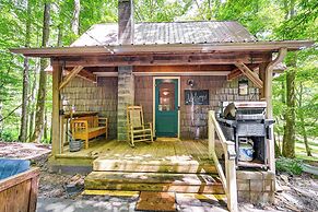 Patio & Fire Pit: Charming Cabin in Roaring Gap!