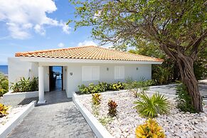 Blue Horizon Villa Infinity Pool Ocean Views