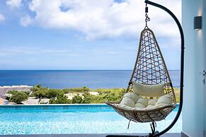 Blue Horizon Villa Infinity Pool Ocean Views