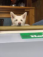 Hotel & bar Royal taste Amsterdam